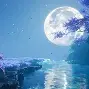 诛仙私服玩法技巧全面解析，实力碾压！